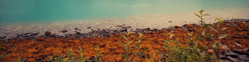 Fjord shore. Lofoten Islands, Norway