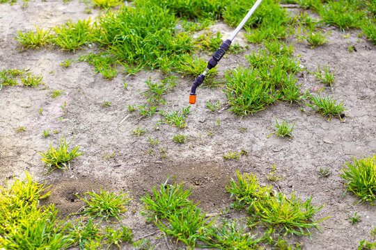 A garden sprayer is aimed at areas with an anthill with a hole in the ground.