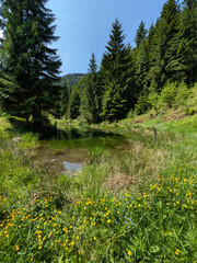 beautiful mountain landscape