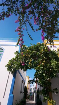 Vertical view of beautiful buildings and bougainvillea flowers in picturesque fishing old village Puerto de Mogan, Gran Canaria, Canary Islands, Spain