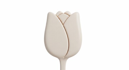 White Tulip Flower on White Background.