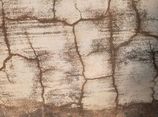Obraz premium Old wall texture.