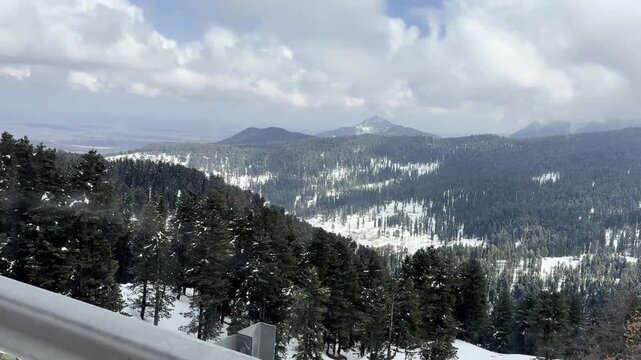 Peaceful natural landscape of Aru Valley featuring lush green meadows, pine forests, flowing rivers, and majestic Himalayan mountains near Pahalgam, Kashmir.