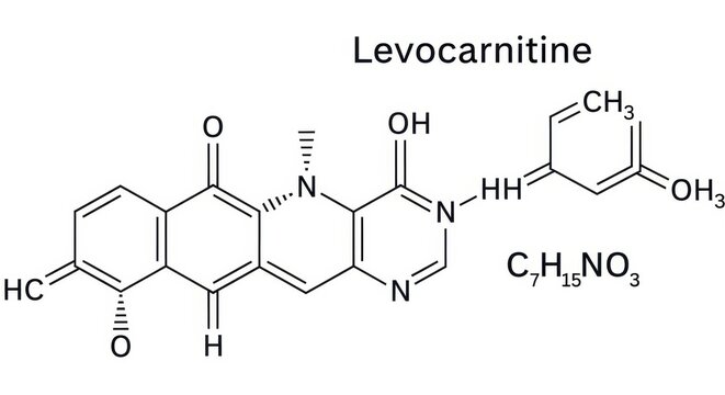 Chemical Structure of Levocarnitine - A Vital Nutrient for Energy Production.