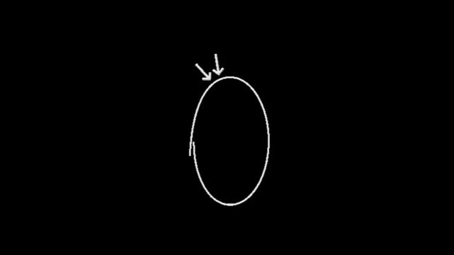 Animated arrows guiding every move.