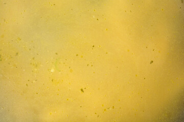 A detailed close up view showing the golden surface of a fresh chicken soup with small oil bubbles and tiny herb pieces © nahhan