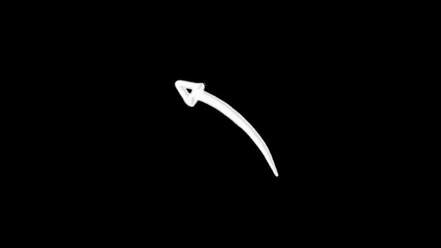 Animated arrows guiding every move.