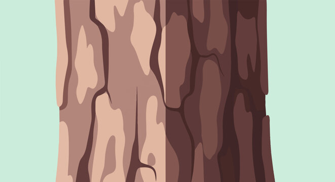 A textured close-up of tree bark with varying shades of brown and a light blue background