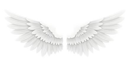 White feathered angel wings and symmetrical isolated on transparent background