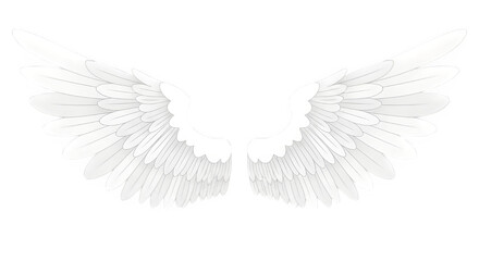 White feathered angel wings isolated on transparent background
