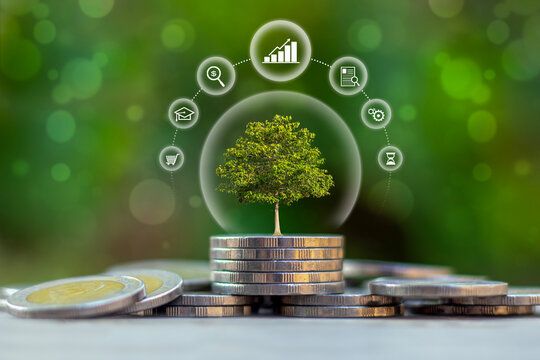 Sustainable financial growth concept featuring a tree growing on coin stacks with business and economy icons. Perfect for ESG, investment planning.