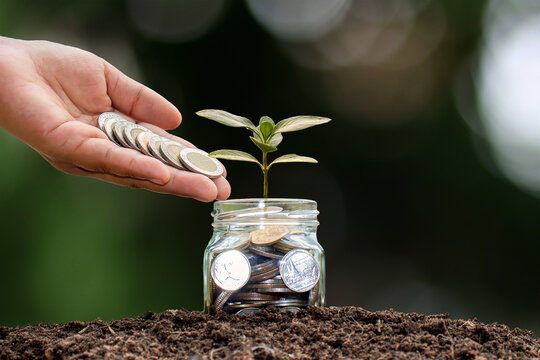 A hand putting coins into a glass jar with a growing sprout.Business growth and financial investment concept, and Sustainable investment and green economy concept.