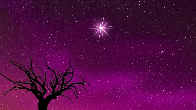 Starry night sky with a bright star shining above a silhouetted, leafless tree against a vibrant purple and black cosmic backdrop in a tranquil desert landscape