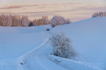 snow covered road © talavietis
