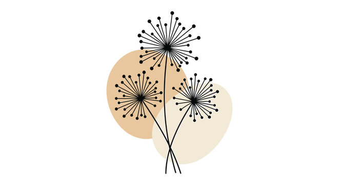 vector dandelion flowers with beige circle background, minimalist illustration for website or social media, overlay effect, Isolated on transparent background, png