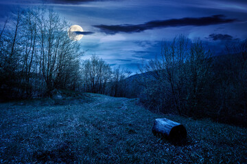 mountain landscape with green grass on a forest glade in spring at night. beautiful nature scenery with beech trees under dark sky in full moon light. strength to overcome fear, loneliness in darkness © Pellinni