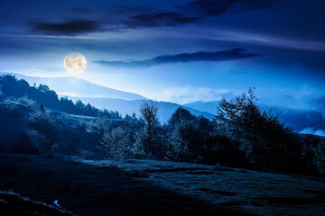 Fototapeta premium mountain landscape in fog at night. lush alpine meadows in spring in full moon light. beautiful view in to the valley. dark sky with clouds. backdrop for countryside fiction art or mystery concepts
