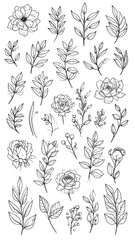 Botanical Line Art - Delicate Floral and Leaf Illustrations for Design.