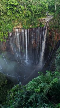 Vertical aerial video of powerful Tumpak Sewu Waterfall in Indonesia dropping into a rocky canyon. Moss covered limestone cliffs and dense jungle line the gorge as heavy water flow feeds the river.