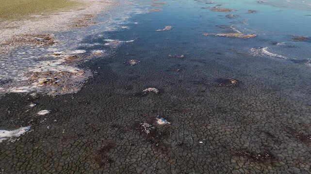 Cinematic flight over a shallow salt lake showing the white crusty formations and dark sediments beneath the clear water during a bright sunny day light