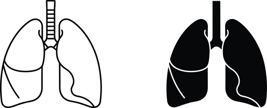 Human lungs respiratory system illustration set featuring a minimalist line art outline and a solid black silhouette icon.