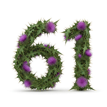 A beautifully designed number sixty-one made entirely of green plants and pink flowers isolated on white background, illustration