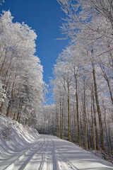 Route de montagne enneig&eacute;e