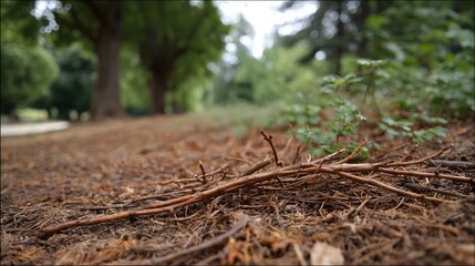 Obraz premium Dry twigs and leaf litter cover the ground in a blurred park setting with trees in the background