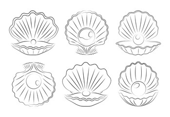 Sea Shell with pearl set. Vector illustration. Icons for design. Love, romance beautiful symbol. Elegant vector icons. For gifts, Valentine's Day, birthday, cards, decoration.