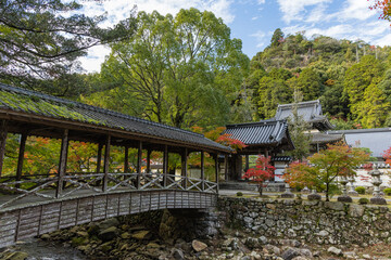 Fototapeta premium 日本 広島県三原市高坂町にある佛通寺の佛通寺川に架かる巨蟒橋と紅葉した木々