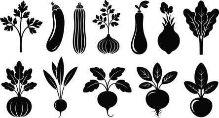 Fresh Harvest Vegetable Collection