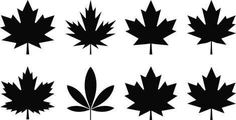 Maple Leaf Silhouette Collection