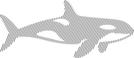 Orca killer whale silhouette with diagonal lines, Marine mammal line art design © jakircreativedesign