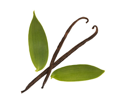Vanilla pods and green leaves isolated on transparent background.top view.