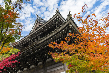 Fototapeta premium 日本 広島県三原市高坂町にある佛通寺の観音堂と紅葉した木々
