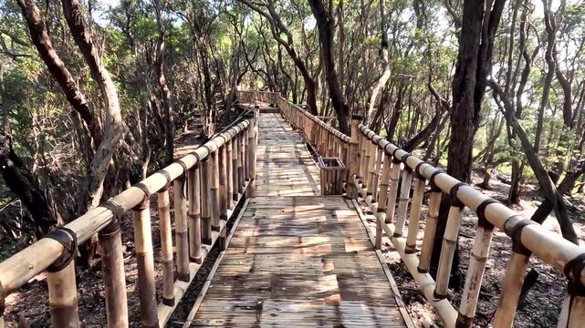 Walking up the bamboo Cantigi Skywalk at Kawah Putih in Ciwidey West Java Indonesia through a cantigi forest
