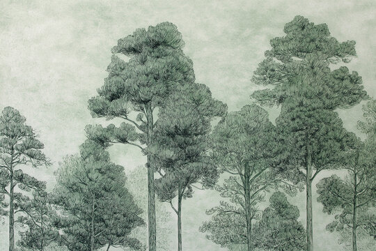 pencil drawing of forest trees, fine line work, subtle green tint background, natural calm tone