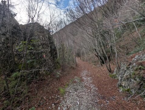 Sentiro 280 sul Monte le Gronde