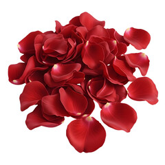 Scattered Red Rose Petals on Background red petals flower petals isolated on a transparent background
