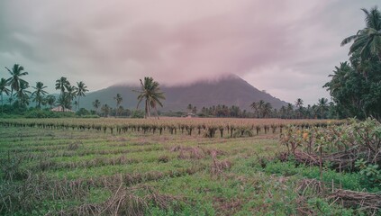 Obraz premium Clouds Cover a Mountain With Palm Trees and Fields in the Afternoon Light