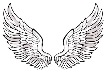 Fototapeta premium Pair of spread angelic or eagle wings in a graphic, detailed illustration style