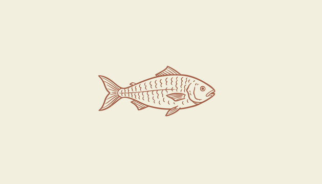 Vector salmon fish skeleton illustration, pinkish brown color, for biology or food related projects, Isolated on transparent background, png
