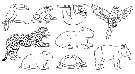 Obraz premium Collection of South American animals in outline style