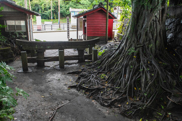 腹五社神社の黒神埋没鳥居