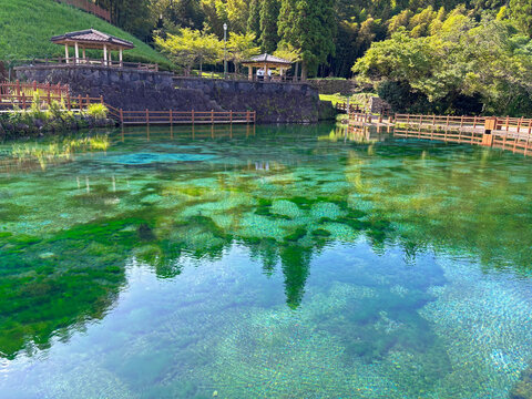 霧島山麓丸池湧水