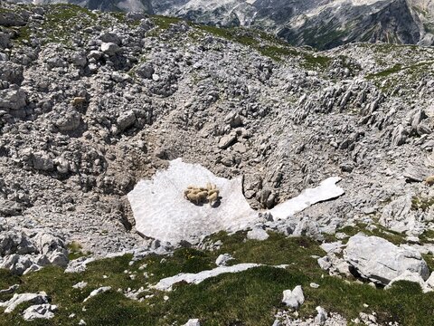 Tosc peak, Julian Alps, Slovenia, 2275m, hiking, summer