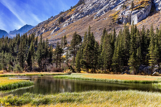 The grassy, ​​shallow South Lake