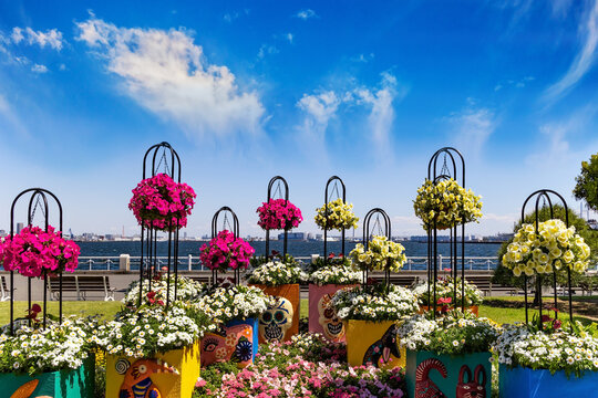 The coast of Tokyo Bay in Japan.