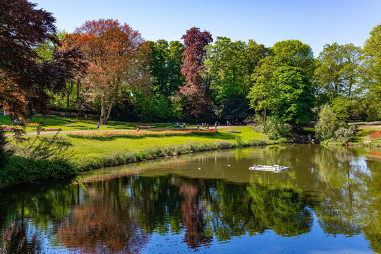 The still waters of the pond.