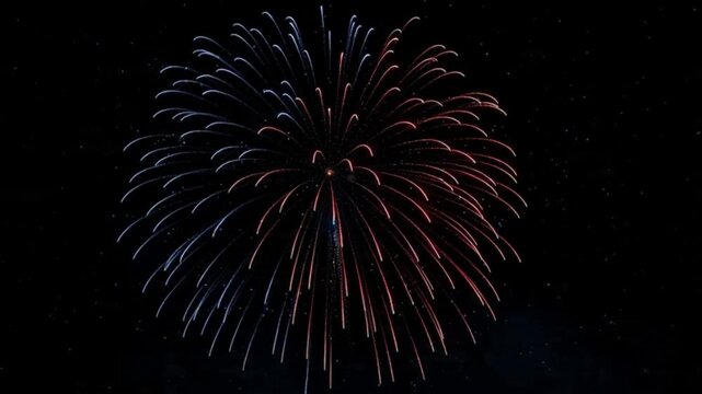 Clean sky-only Independence Day fireworks footage, pure deep black night sky with no horizon